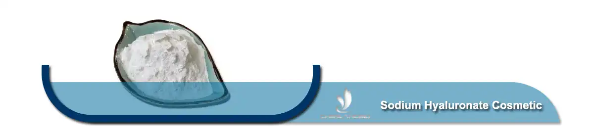 Sodium Hyaluronate Cosmetic powder.jpg Sodium Hyaluronate Cosmetic powder.jpg